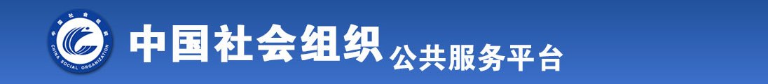 www.551.肏逼全国社会组织信息查询